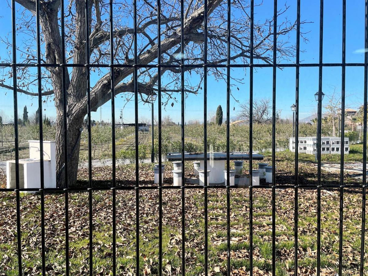Complejo Rural Torres Y Navas Βίλα Γρανάδα Εξωτερικό φωτογραφία